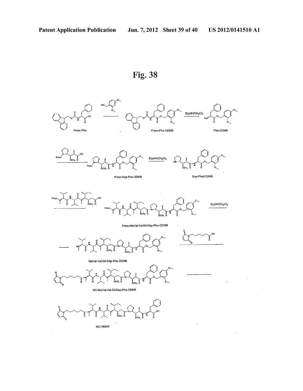 MONOMETHYLVALINE COMPOUNDS CAPABLE OF CONJUGATION TO LIGANDS - diagram, schematic, and image 40