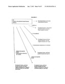 Nanoemulsion vaccines diagram and image