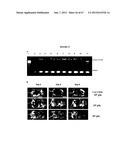 Nanoemulsion vaccines diagram and image