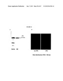 Nanoemulsion vaccines diagram and image