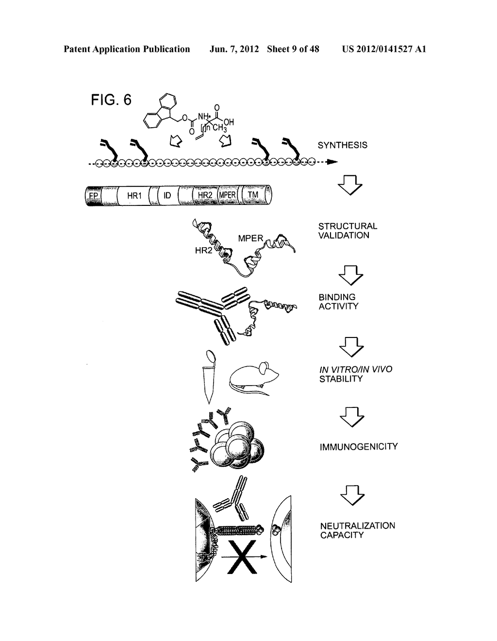 STRUCTURED VIRAL PEPTIDE COMPOSITIONS AND METHODS OF USE - diagram, schematic, and image 10