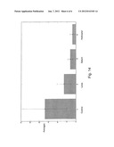 Solid Dosage Form That Promotes Reliable Oral, Esophageal and GI Transit diagram and image