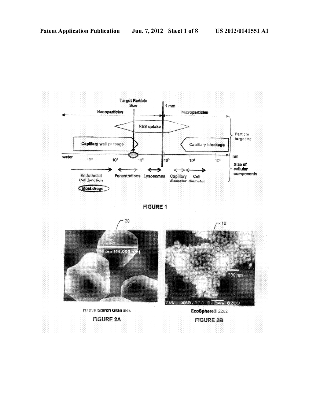 APTAMER BIOCONJUGATE DRUG DELIVERY DEVICE - diagram, schematic, and image 02