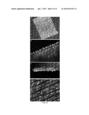 BIOCOMPATIBLE POLYMER FIBRES FOR NEUROIMPLANTS diagram and image