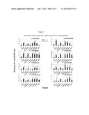 Cytotoxic T Lymphocyte Inducing Immunogens for Prevention Treatment and     Diagnosis of Cancer diagram and image