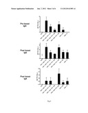 IMMUNOMODULATORY COMPOSITIONS COMPRISING A POLYMER MATRIX AND AN OIL PHASE diagram and image