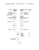 THROMBIN RECEPTOR ANTAGONIST AND CLOPIDOGREL FIXED DOSE TABLET diagram and image