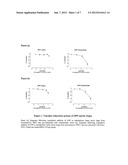 Composition and Method for Improving Vascular Health diagram and image