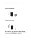 Composition and Method for Improving Vascular Health diagram and image