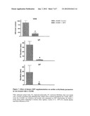 Composition and Method for Improving Vascular Health diagram and image