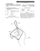 CONDIMENT PACKET HAVING A SPREADING APPARATUS, AND METHOD OF USE THEREOF diagram and image