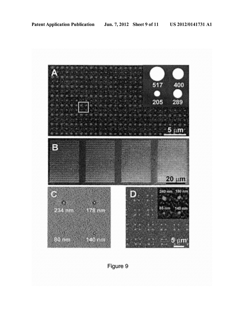 FABRICATION OF MICROSTRUCTURES AND NANOSTRUCTURES USING ETCHING RESIST - diagram, schematic, and image 10