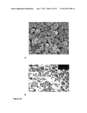 MONODISPERSE SUBMICRON POLYMER PARTICLES diagram and image