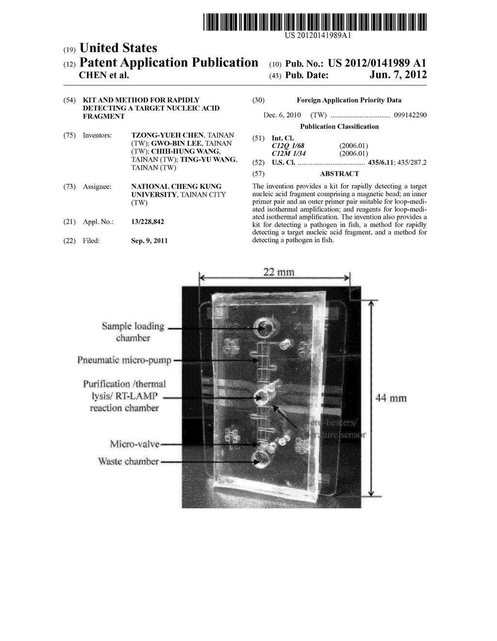 KIT AND METHOD FOR RAPIDLY DETECTING A TARGET NUCLEIC ACID FRAGMENT - diagram, schematic, and image 01