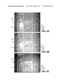 MICROFABRICATED INTEGRATED DNA ANALYSIS SYSTEM diagram and image