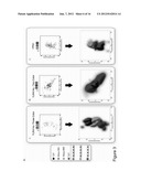 MOLECULAR INDICIA OF CELLULAR CONSTITUENTS AND RESOLVING THE SAME BY     SUPER-RESOLUTION TECHNOLOGIES IN SINGLE CELLS diagram and image