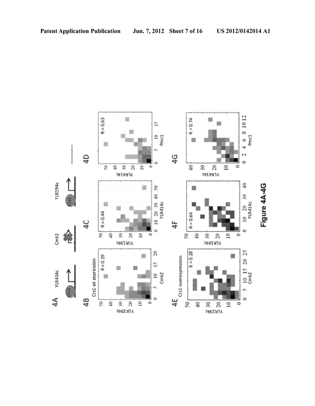 MOLECULAR INDICIA OF CELLULAR CONSTITUENTS AND RESOLVING THE SAME BY     SUPER-RESOLUTION TECHNOLOGIES IN SINGLE CELLS - diagram, schematic, and image 08