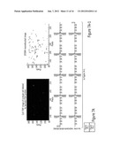 MOLECULAR INDICIA OF CELLULAR CONSTITUENTS AND RESOLVING THE SAME BY     SUPER-RESOLUTION TECHNOLOGIES IN SINGLE CELLS diagram and image