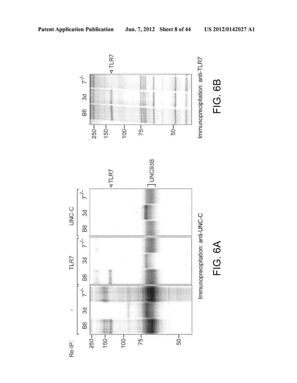 Compositions and Methods for Modulating the Immune Response and     Identifying Immunomodulators - diagram, schematic, and image 09