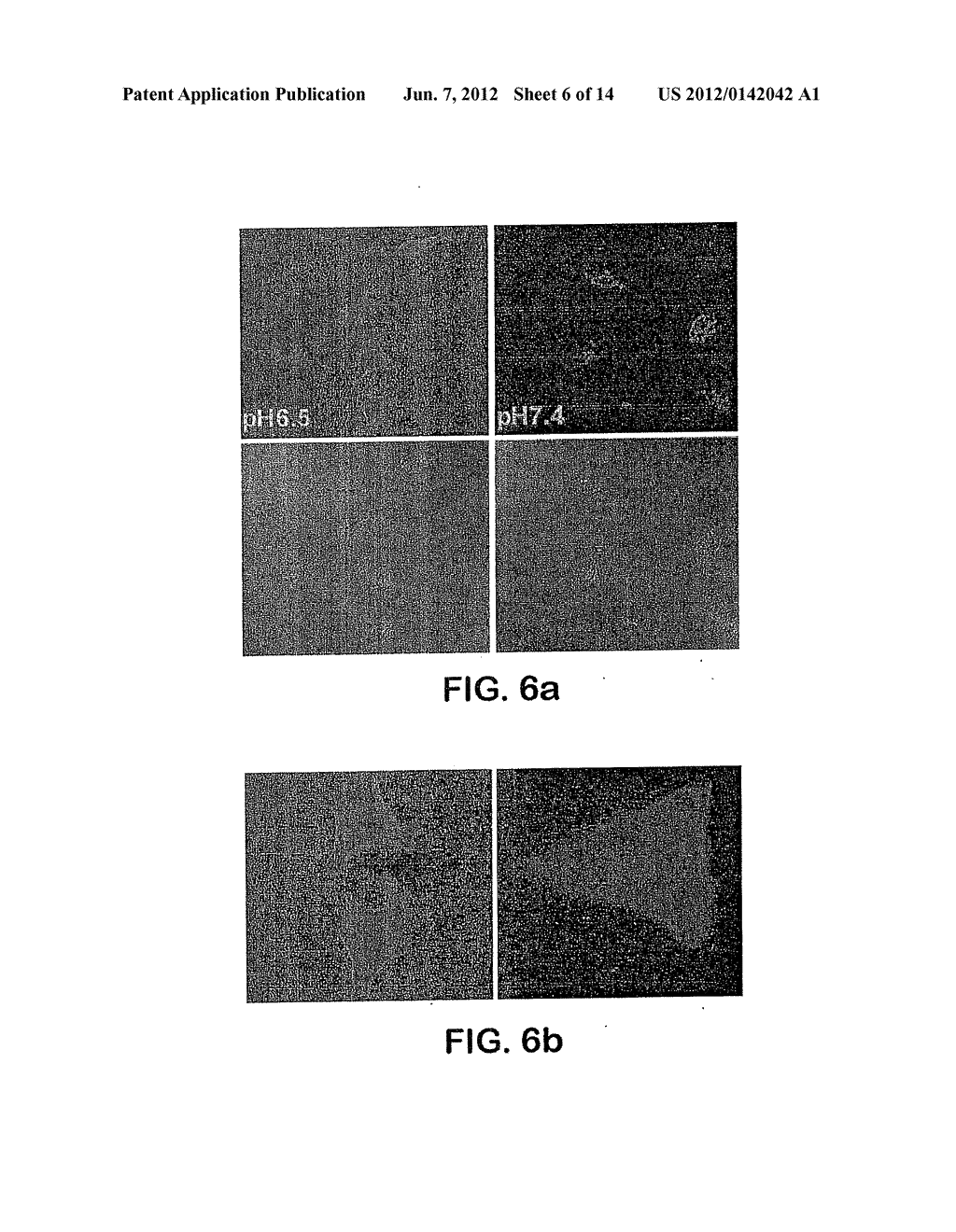 Selective Delivery Of Molecules Into Cells Or Marking Of Cells In Diseased     Tissue Regions Using Environmentally Sensitive Transmembrane Peptide - diagram, schematic, and image 07