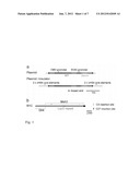 Recombinant Gene Expression diagram and image