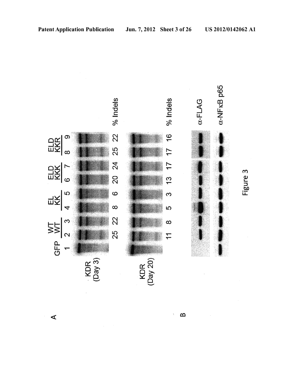 ENGINEERED CLEAVAGE HALF-DOMAINS - diagram, schematic, and image 04