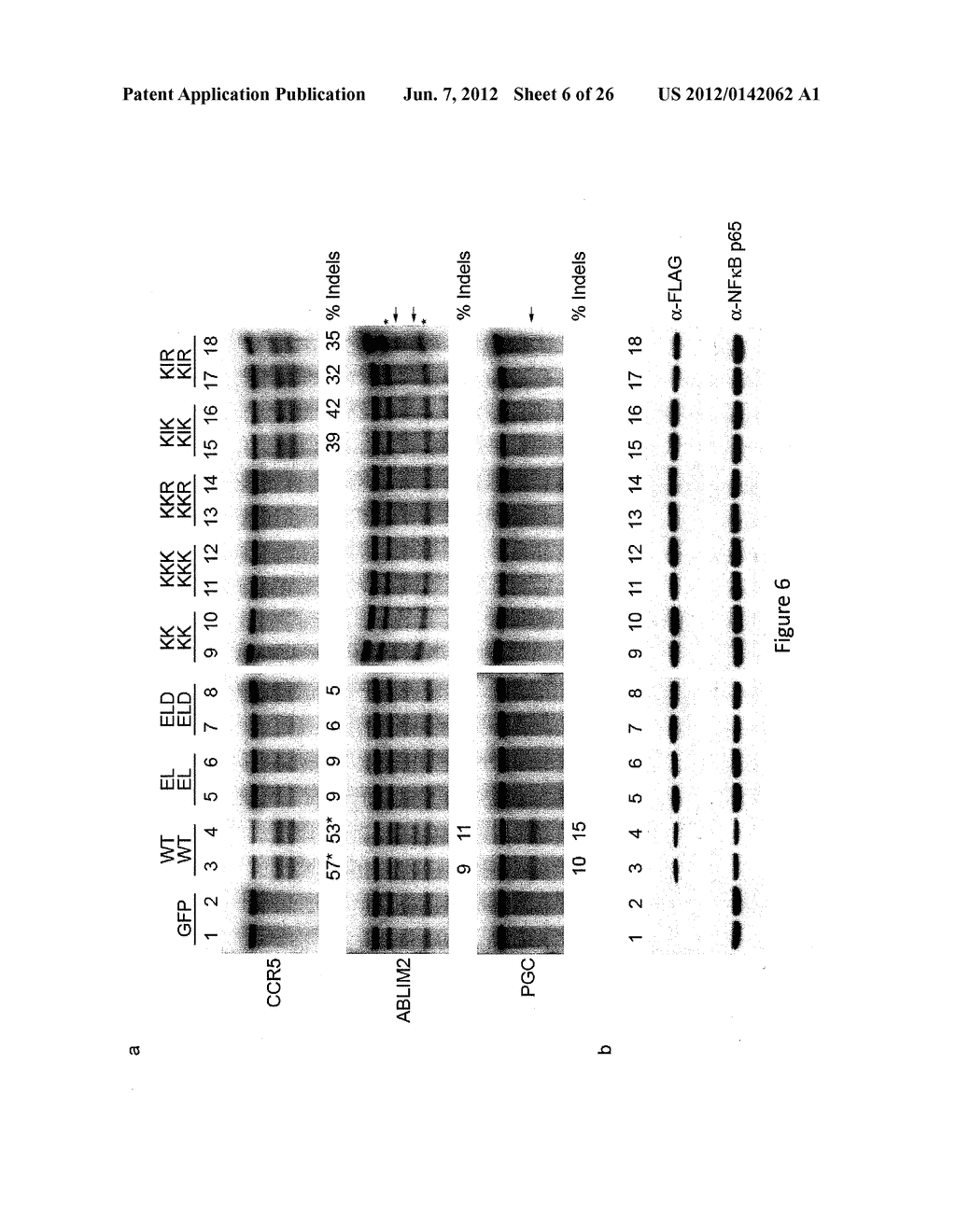 ENGINEERED CLEAVAGE HALF-DOMAINS - diagram, schematic, and image 07