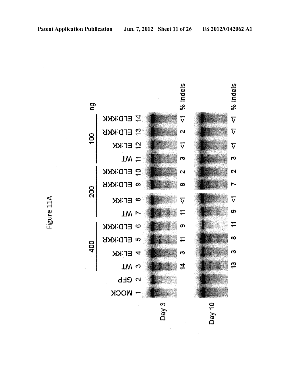 ENGINEERED CLEAVAGE HALF-DOMAINS - diagram, schematic, and image 12