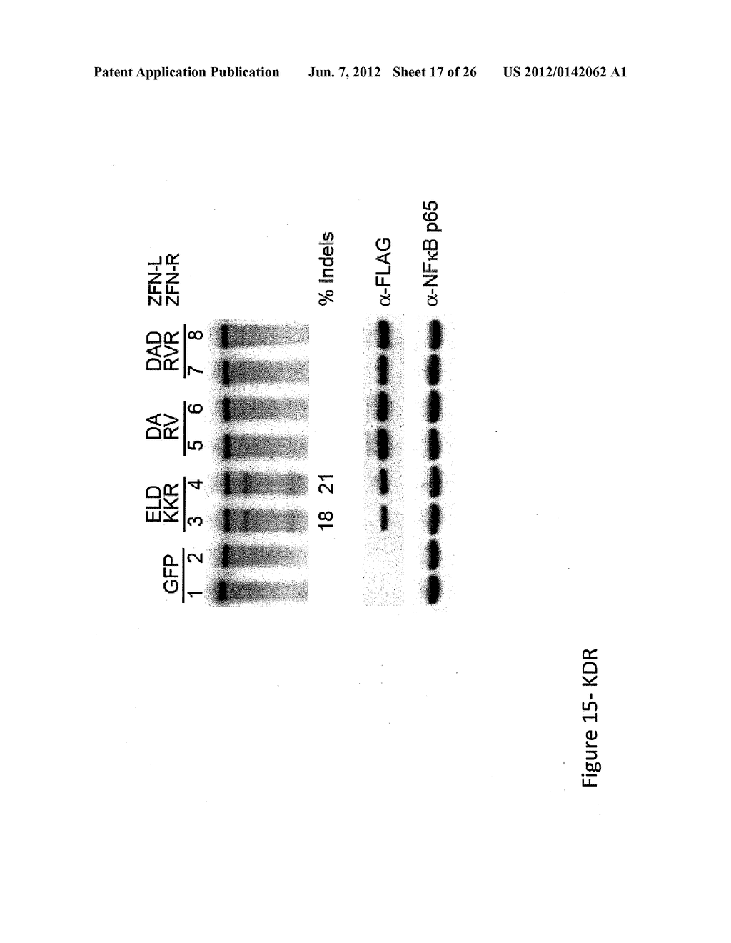 ENGINEERED CLEAVAGE HALF-DOMAINS - diagram, schematic, and image 18