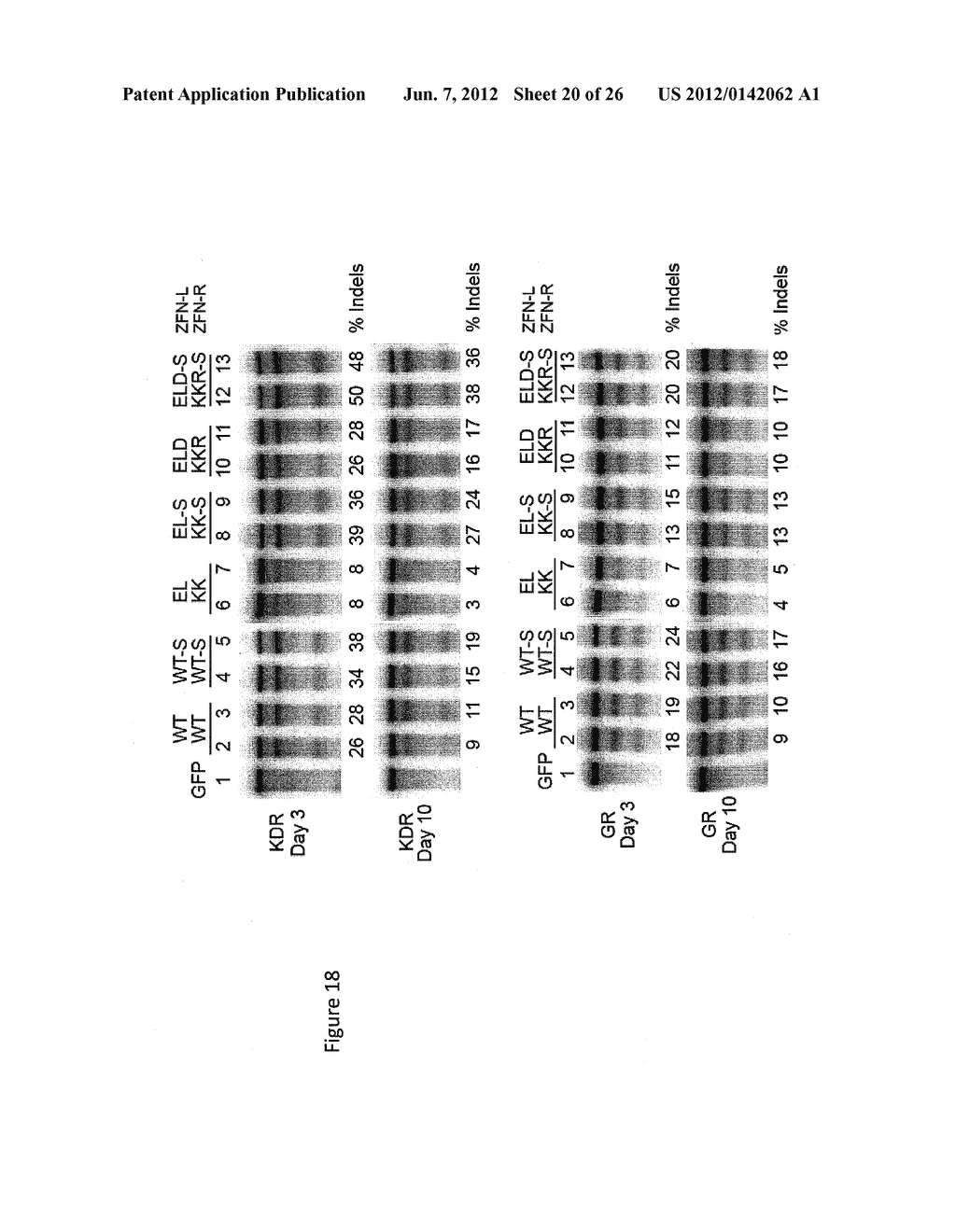 ENGINEERED CLEAVAGE HALF-DOMAINS - diagram, schematic, and image 21