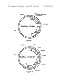 LIVE BACTERIAL VACCINES FOR VIRAL INFECTION PROPHYLAXIS OR TREATMENT diagram and image