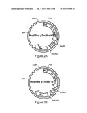 LIVE BACTERIAL VACCINES FOR VIRAL INFECTION PROPHYLAXIS OR TREATMENT diagram and image