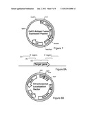 LIVE BACTERIAL VACCINES FOR VIRAL INFECTION PROPHYLAXIS OR TREATMENT diagram and image