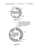 LIVE BACTERIAL VACCINES FOR VIRAL INFECTION PROPHYLAXIS OR TREATMENT diagram and image