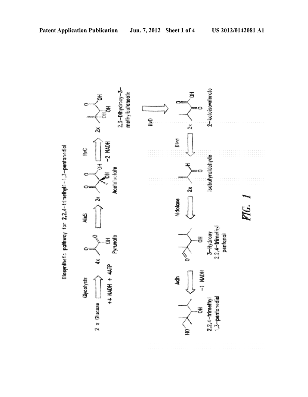 BIOSYNTHESIS OF COMMODITY CHEMICALS - diagram, schematic, and image 02