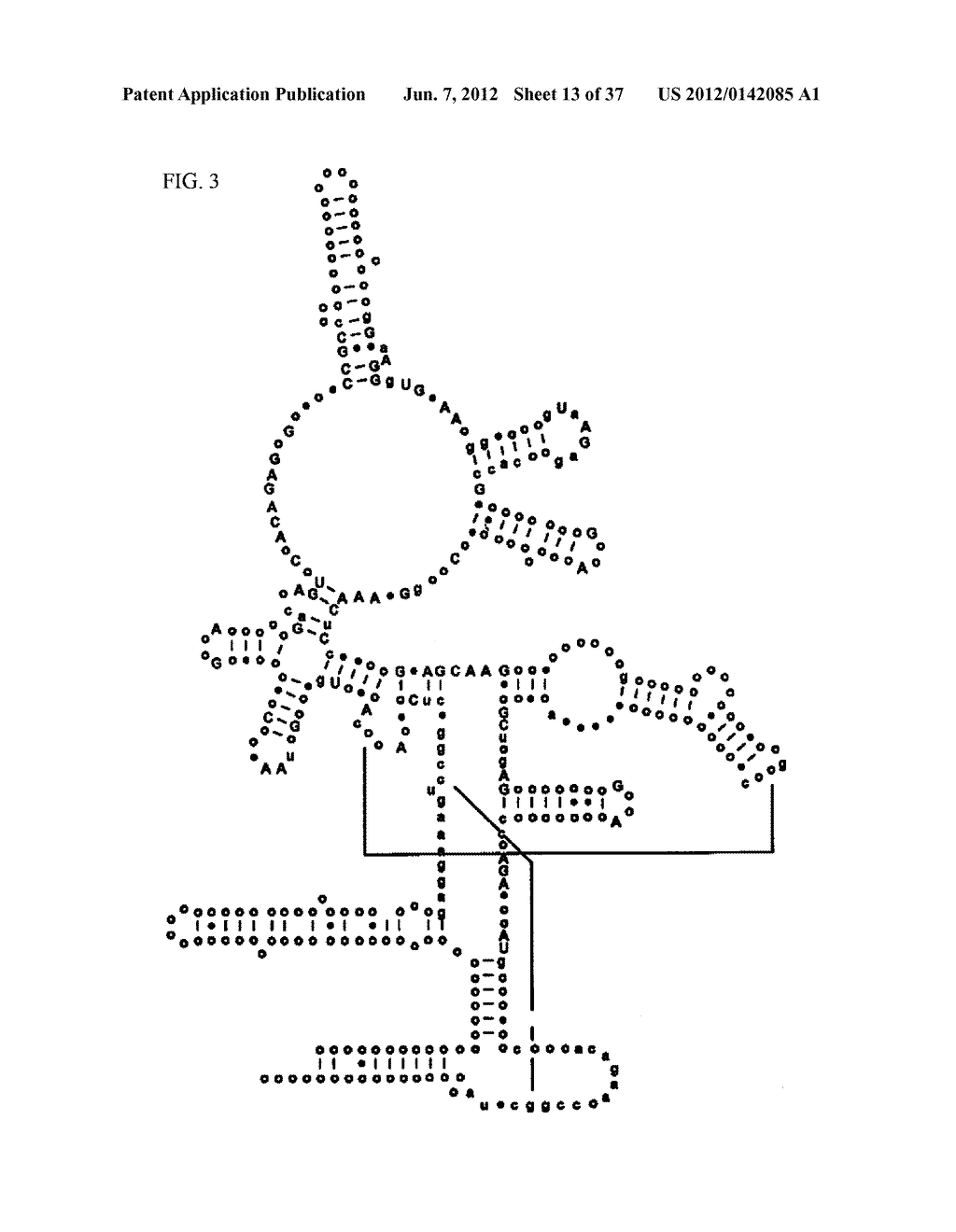 SYSTEMS FOR RAPID IDENTIFICATION OF PATHOGENS IN HUMANS AND ANIMALS - diagram, schematic, and image 14