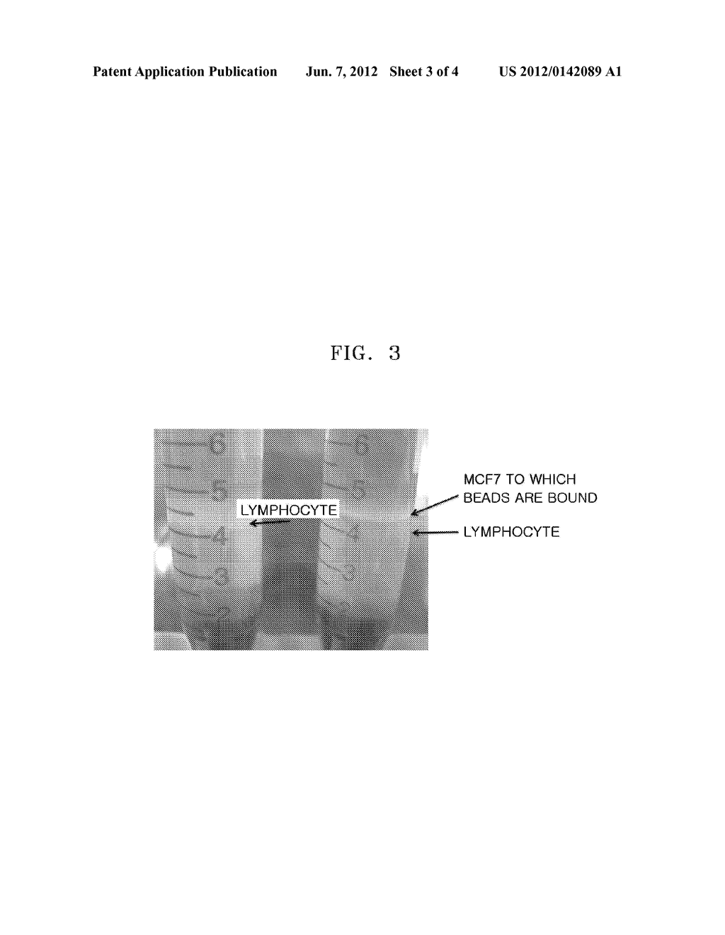 METHOD OF SEPARATING TARGET CELL IN BIOLOGICAL SAMPLE - diagram, schematic, and image 04