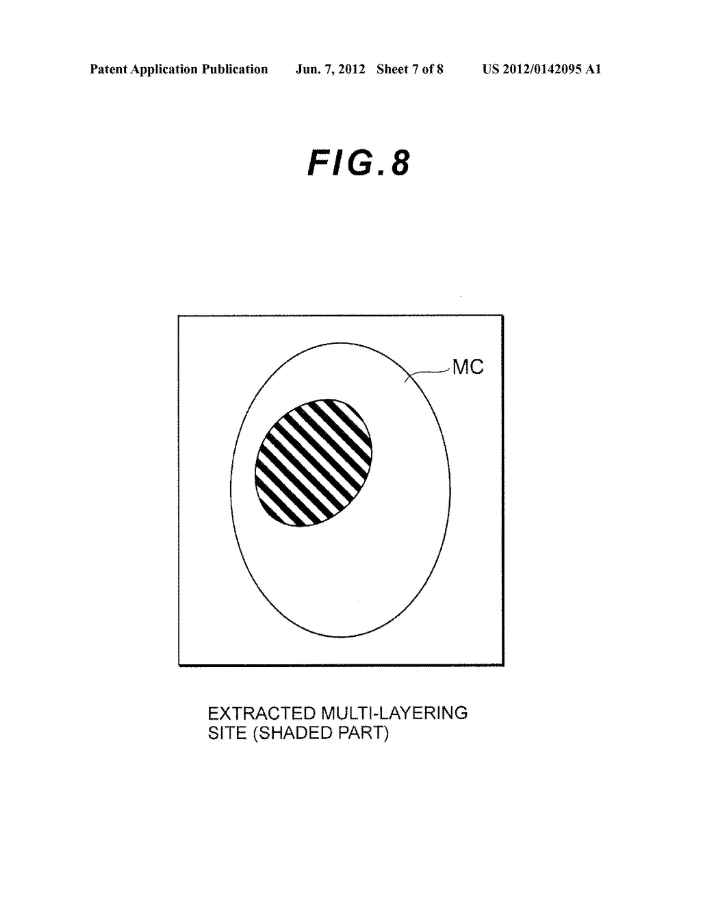 TECHNIQUE FOR DETERMINING THE STATE OF A CELL AGGREGATION IMAGE PROCESSING     PROGRAM AND IMAGE PROCESSING DEVICE USING THE TECHNIQUE, AND METHOD FOR     PRODUCING A CELL AGGREGATION - diagram, schematic, and image 08