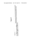 NOVEL BAK BINDING PROTEIN, DNA ENCODING THE PROTEIN, AND METHODS OF USE     THEREOF diagram and image