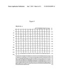 NOVEL BAK BINDING PROTEIN, DNA ENCODING THE PROTEIN, AND METHODS OF USE     THEREOF diagram and image