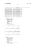 NOVEL BAK BINDING PROTEIN, DNA ENCODING THE PROTEIN, AND METHODS OF USE     THEREOF diagram and image