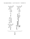 NANOMATERIAL-CONTAINING SIGNALING COMPOSITIONS FOR ASSAY OF FLOWING LIQUID     STREAMS AND GEOLOGICAL FORMATIONS AND METHODS FOR USE THEREOF diagram and image