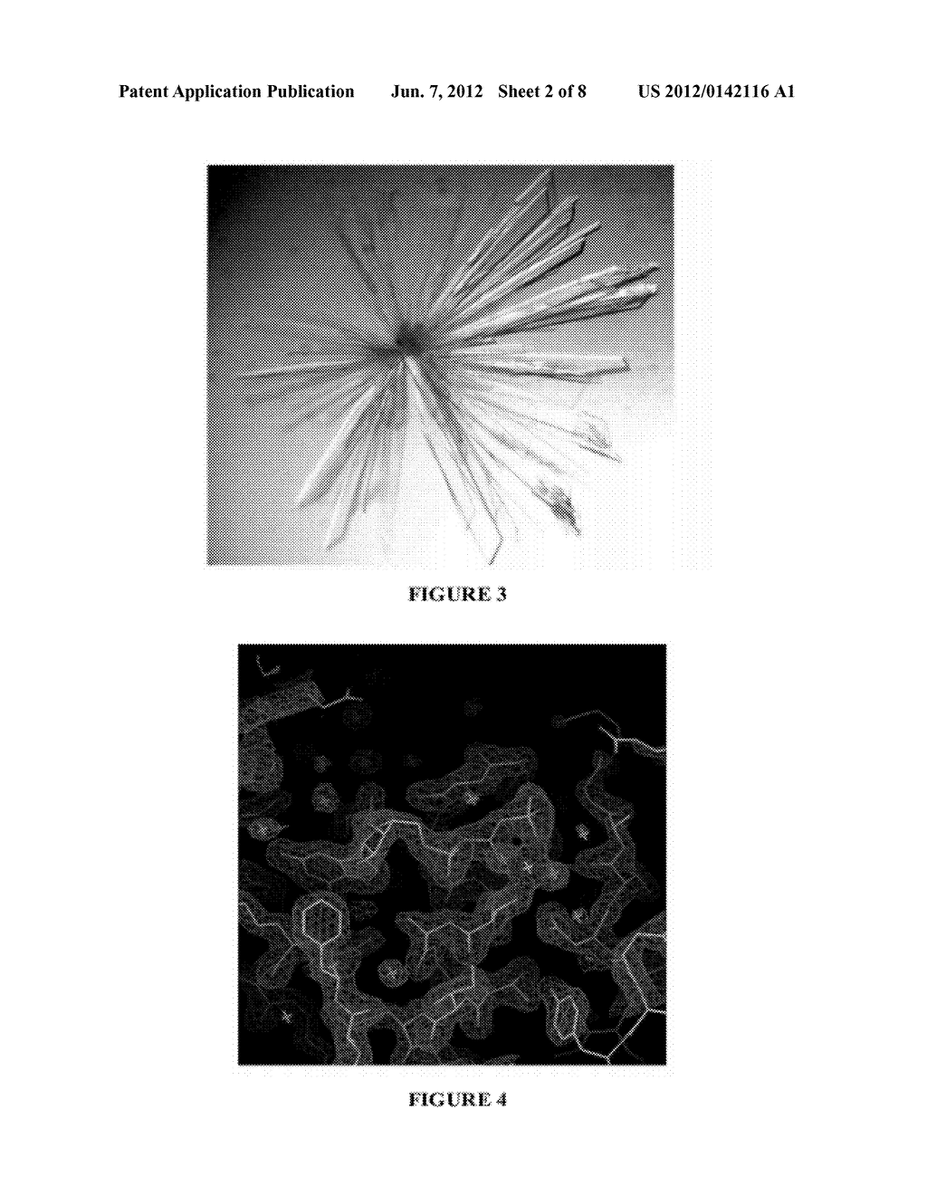 MUTANT RAS POLYPEPTIDE CRYSTAL - diagram, schematic, and image 03