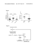 Vanin 1 as a Peripheral Blood Oxidative Stress Sensor diagram and image