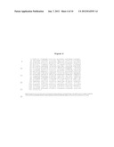 Molecular Markers in Kidney Cancer diagram and image