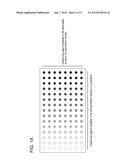 HIGH PRECISION QUANTITATIVE ASSAY COMPOSITION AND METHODS OF USE THEREFOR diagram and image