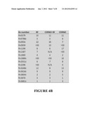 Compositions And Methods For Immunodominant Antigens of Mycobacterium     Tuberculosis diagram and image