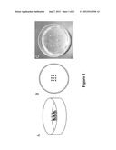 HIGH THROUGHPUT ASSAYS FOR DETERMINING CONTRACTILE FUNCTION AND DEVICES     FOR USE THEREIN diagram and image