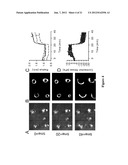 HIGH THROUGHPUT ASSAYS FOR DETERMINING CONTRACTILE FUNCTION AND DEVICES     FOR USE THEREIN diagram and image