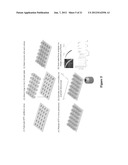 HIGH THROUGHPUT ASSAYS FOR DETERMINING CONTRACTILE FUNCTION AND DEVICES     FOR USE THEREIN diagram and image